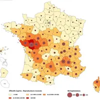 Répartition des exploitations ayant déclaré plus de dix reproducteurs caprins (au 01/01/2013)