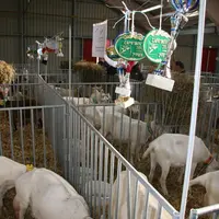 Une présentation et des animaux de belle qualité !