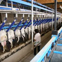 Les éleveurs de chèvres demandent que les négociations commerciales puissent rémunérer leurs efforts à hauteur de deux Smic en moyenne par travailleur