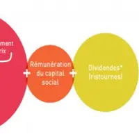 Rémunération de l'associé coopérateur