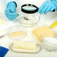 Les différences de composition du lait de chaque espèce résultent en des propriétés physico-chimiques spécifiques.