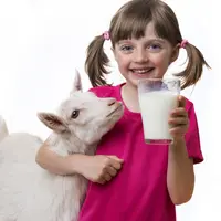 Le lait et les produits laitiers peuvent constituer une source importante de calories, de protéines et de matières grasses.
