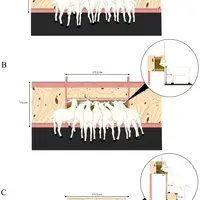 Trois hauteurs d'auge ont été testées.