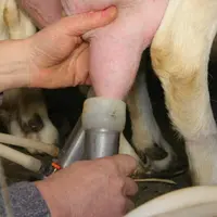 Prendre soin d'une machine qui fonctionne deux fois par jour, plus de 300 jours par an.