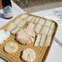 L'Aoc Chevrotin et la tomme de chèvre des Savoie seront à l'honneur de Fromagora 2008