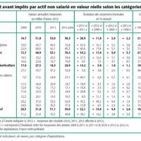 Indicateurs de revenu par catégorie d’exploitations.