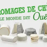 La filière caprine intensifie sa promotion pour maintenir et développer son image et ses ventes.