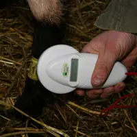 L'identification éléctronique ne se résume pas à un flicage mais permet de nombreuses valorisations en élevage.