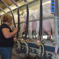 Le prix de base du lait de chèvre s’est établi à 664 euros les 1 000 litres au premier trimestre 2020 en moyenne nationale, soit une progression de pr