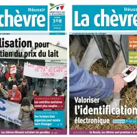 La chèvre 308 et 309