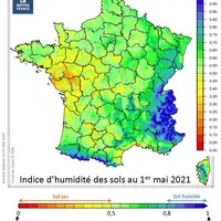 Alors qu’ils étaient proches de la normale à la sortie de l’hiver, les sols se sont globalement asséchés, sauf en montagne, et de façon plus marquée a
