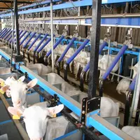 Les salles de traite avec une ligne haute ont montré des cadences supérieures à celles en ligne basse.