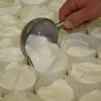 Quatre médailles d'or ont été attribuées aux producteur de Pélardons AOP.