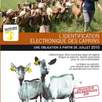 Ce guide sur l’identification des caprins a été envoyé à tous les éleveurs.