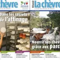 En 2016 : six numéros et près de 300 pages