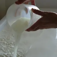 Le lait issu de chèvres nourries avec un haut niveau d'azote ne semble pas présenter plus de problèmes d'acidification.