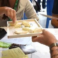 La deuxième édition du concours régional Fromaniac des fromages de la région Auvergne Rhône-Alpes s'est tenu en Ardèche le 9 septembre dernier.