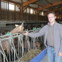 Jérémie Chipault, éleveur dans l'Indre © A. Villette