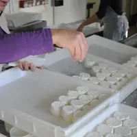 La réduction du taux de sel dans les fromages est possible mais a des conséquences microbiologiques à surveiller. © D. Hardy