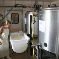 En cas de transfert vers un tank, il sera placé si possible en hauteur afin que le reprise du lait soit facilitée par la gravité. © D. Hardy