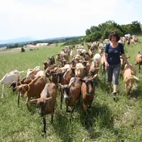 En 2014, la population active agricole féminine comprend 113 200 femmes chefs d’exploitation ou d’entreprise agricole, 31 000 collaboratrices d’exploi