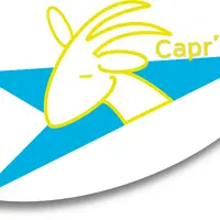 En option  © Capr'inov