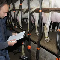 Le conseiller note toutes ses observations au fur et à mesure de la traite.  © A. Villette