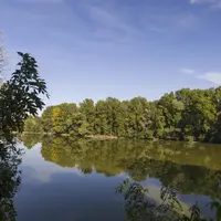 Une quinzaine de chèvres du Massif central arpente l'ancienne gravière.  © S. Hans- CD63