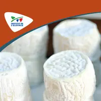 Un guide pour comprendre les mécanismes de l'affinage et les équipements nécessaires pour sublimer les fromages.  © Idele