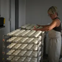Le GBPH européen pour les productions laitières fermières et artisanales a pour objectif d’aider les professionnels à maîtriser la sécurité sanitaire