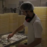 Les 18 salarié de la  fromagerie des Cévennes transforment près d'un millions de litres de lait par an.  © M.-A. Batut