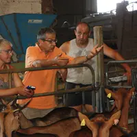 La visite sanitaire est l’occasionpour le Docteur Pouquet de faireun point sur la conduite d’élevageavec les éleveurs. © M.-A. BAtut