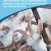 Des indicateurs liés à l’observation des troupeaux pour ajuster le rationnement des chèvres laitières. © Idele