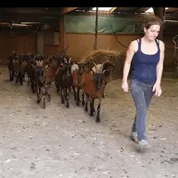La Ferme aux pampilles a filmé et expliqué simplement son fonctionnement.  © Ferme Aux Pampilles