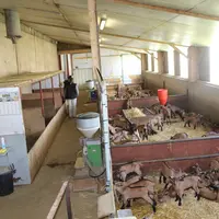 La nurserie pré-existante et qui communique avec le nouveau bâtiment a été conservée. © V. Bargain