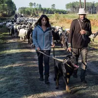 Le Conservatoire des races d'Aquitaine a fait appel au financement participatif pour mettre sur pied cette transhumance. © DR