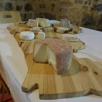 Cinquante-huit fromages étaient en lice en Charente. © M. Teinturier