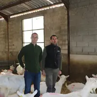 Laurent et Sylvain Balmelle ont de nombreuses perspectives d'avenir et envisagent de faire entrer un nouvel associé dans leur Gaec. © B. Morel
