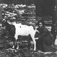 Dans la première moitié du XXe siècle, les chèvres sont souvent élevées comme animaux de basse-cour, et c’est l’affaire des femmes. © Archives