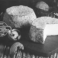 Le Syndicat de défense du fromage de selles-sur-cher est créé en 1972. Trois ans plus tard, le décret du Centre national des appellations d’origine fr