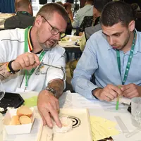 Le concours Fromaniac a distribué 7 médailles d'or, 16 d'argent et 15 de bronze aux fromages de chèvre de la région Auvergne-Rhône-Alpes. © Fromaniac