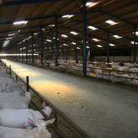 Un bâtiment fonctionnel, aéré et lumineux est déjà l'assurance d'un travail confortable pour l'éleveur et d'un environnement appréciable pour les chèv