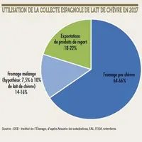 La part de lait de chèvre utilisée dans les fromages mélangés n'est pas négligeable mais tend à diminuer avec le développement du pur chèvre. © GEB -