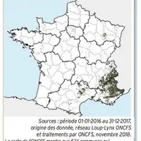 Présence du loup en 2016 et 2017La carte de l'ONCFS montre que 524 communes connaissent une présence régulière du loup et 434 communes une présence qu
