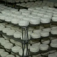 Le lait est transformé principalement en pélardons, mais également en tomettes (de même technologie) pour diversifier la gamme et en tommes pour faire