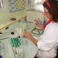 Même si le risque zéro n'existe pas, les chercheurs montrent que a biodiversité microbienne des fromages au lait cru présente un grand intérêt pour le