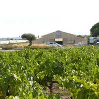 La ferme se situe entre la ville, la garrigue et l'autoroute. © R. Alliey