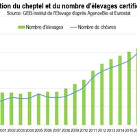 Évolution du cheptel et du nombre d'élevages certifiés bios © GEB-Institut de l'élevage ...