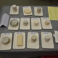 Diversité des formes et des couleurs © D. Hardy
