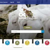 OK éleveur simplifie l'accés aux ressources techniques pour les éleveurs de ruminants.